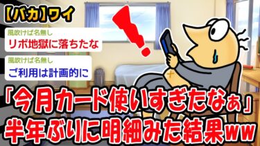 【2ch人情屋台】【バカ】今月カード使い過ぎちゃったなぁ…8万円くらいかな？ﾁﾗｯﾁﾗｯ→結果ww【2ch面白いスレ】