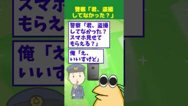 【なんJ民の巣窟】【2ch面白】警察「君、盗撮してなかった？スマホ見せてくれる？」→結果