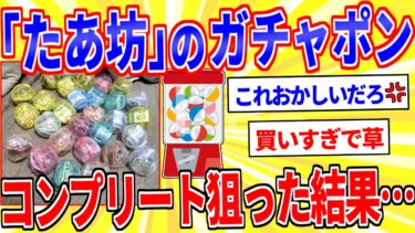 【鉄人28匹ギコ&しぃ】「みんなのたあ坊」のガチャポンをコンプリートしようとした結果…【2ch面白いスレゆっくり解説】