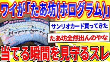 【鉄人28匹ギコ&しぃ】サンリオカード買っワイが「たあ坊(ホログラム仕様)」当てるの見守れ【2ch面白いスレゆっくり解説】