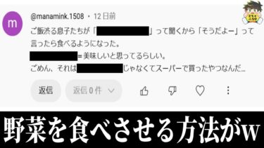 【2chバラエティ】【育児テク】育児の為ならなんでもしてしまうママさんがおもしろすぎるwww笑ったら寝ろwww【ゆっくり】