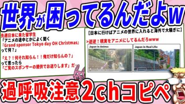 【2chウサバラ】日本文化に対する海外の解釈が想定外すぎる件www【2chコピペ】