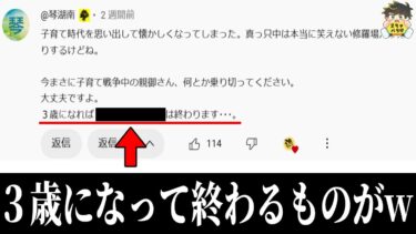 【2chバラエティ】【心が楽になる】※全子育て中のママさんに絶対見てほしい育児エピソードwww笑ったら寝ろwww【ゆっくり】