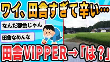 【2chが好きなんだお】【2ch面白いスレ】ＶＩＰで俺より田舎に住んでる奴いんの？ｗｗｗｗｗｗｗｗ