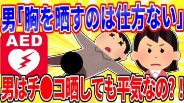 【鉄人28匹ギコ&しぃ】X民「女のAED使用時に胸を晒すの仕方ないって男は、ち●こ晒しても平気なの!?」【2ch面白いスレゆっくり解説】