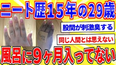 【鉄人28匹ギコ&しぃ】【閲覧注意】ニート歴15年の29歳だけど、風呂に9ヶ月入ってない【2ch面白いスレゆっくり解説】