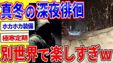 【鉄人28匹ギコ&しぃ】真冬の夜の散歩、別世界で楽しすぎるwww【2ch面白いスレゆっくり解説】