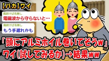 【2ch人情屋台】【バカ】なんJ民「頭にアルミホイル巻いてそうw」ワイ(試してみるか)→結果ww【2ch面白いスレ】