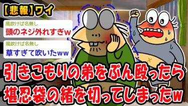 【2chおバカ問題児】【悲報】引きこもりの弟をぶん殴ったら堪忍袋の緒を切ってしまったww【2ch面白いスレ】