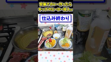 【2ch面白キッチン】【2ch面白いスレ】初安価でカレー作ったら、キッズが大好きなヒーロー投入したったwww