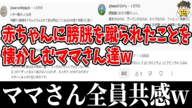 【2chバラエティ】【100%共感する】育児史上最も共感してしまう話に対するコメントまとめたwww笑ったら寝ろwww【ゆっくり】