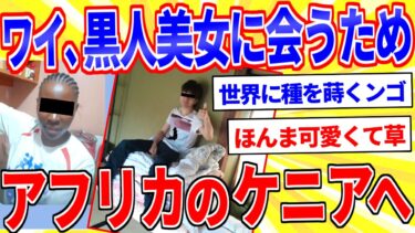 【鉄人28匹ギコ&しぃ】ワイ、黒人美女に会うためアフリカに行くかも【2ch面白いスレゆっくり解説】