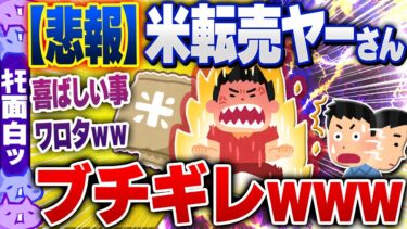 【ハチとオシン 】【ｷﾓ面白い2chスレ】【悲報】米転売ヤー、ブチギレｗｗｗ【ゆっくり解説】