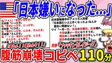 【2chウサバラ】日本好きの外国人、日本語のせいで日本嫌いになってしまうwww【2chコピペ】