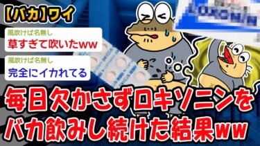 【2chおバカ問題児】【バカ】毎日欠かさずロキソニンをバカ飲みし続けた結果ww【2ch面白いスレ】