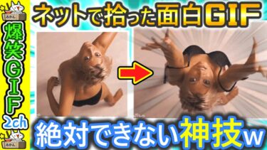 【5ちゃんねこ】【2ch面白い動画】お前らの好きなGIFを貼れ！