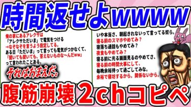 【2chウサバラ】【悲報】見たことないコピペ集めたら時間ムダにした件www【2chコピペ】