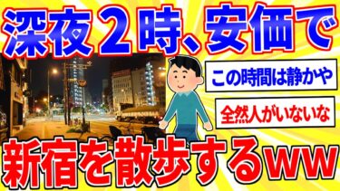 【鉄人28匹ギコ&しぃ】深夜2時、安価で新宿を散歩するｗｗｗ【2ch面白いスレゆっくり解説】