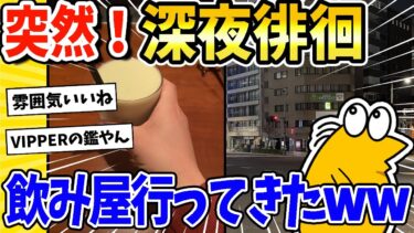 【2ch面白キッチン】【2ch面白いスレ】深夜の日本橋でいきなり深夜徘徊www