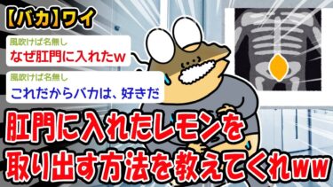 【2chおバカ問題児】【急募】肛門に入れたレモンを取り出す方法w【2ch面白いスレ】