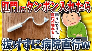 【イッチは圧倒的】【2ch面白いスレ】男だけど●門にタ●ポン入れたら抜けなくなってしまったwwww【ゆっくり解説】