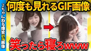 【ゆっくり爆笑図鑑】【おもしろgif】おもしろ＆ハプニングgifで笑ったら負け！ww by 2ch【ゆっくり解説】【2chスレ】【ガルちゃん】【5ch】#262