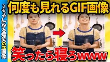 【ゆっくり爆笑図鑑】【おもしろgif】おもしろ＆ハプニングgif貼りまくれ！ww by 2ch【ゆっくり解説】【2chスレ】【ガルちゃん】【5ch】#263