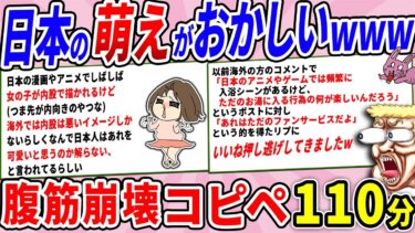 【2chウサバラ】日本の萌えポイント、世界からの解釈が全く違うwww【2chコピペ】