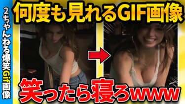 【ゆっくり爆笑図鑑】【おもしろgif】何度見てもじわじわくるgif画像集めたぞww by 2ch【ゆっくり解説】【2chスレ】【ガルちゃん】【5ch】#257