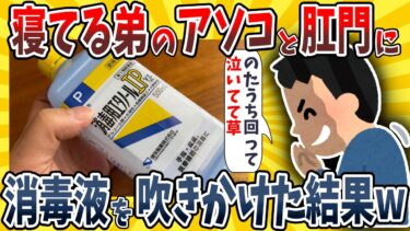 【イッチは圧倒的】【2ch面白いスレ】寝てる弟のイチ●ツと●門に消毒用エタノール吹きかけた結果wwww【ゆっくり解説】【総集編】