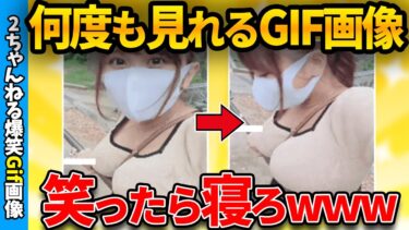 【ゆっくり爆笑図鑑】【おもしろgif】じわじわくるおもしろgif画像集めたぞww by 2ch【ゆっくり解説】【2chスレ】【ガルちゃん】【5ch】#258