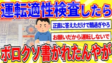 【鉄人28匹ギコ&しぃ】自動車運転の適性試験を受けたらボロクソ言われたんやが【2ch面白いスレゆっくり解説】