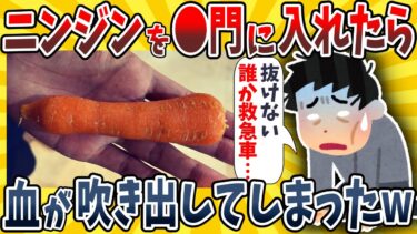 【イッチは圧倒的】【2ch面白いスレ】ニンジンを●門に入れたら入院することになってしまったwwww【ゆっくり解説】