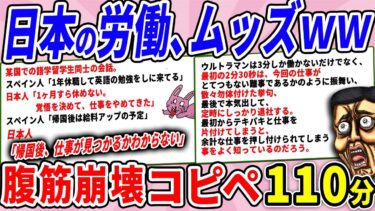 【2chウサバラ】海外から見た日本の労働、ムズすぎて絶句ｗｗ