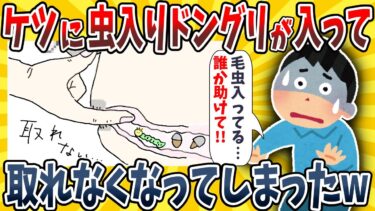 【イッチは圧倒的】【2ch面白いスレ】ケツに虫入りドングリが入ってしまって取れないんだがwwww【ゆっくり解説】【総集編】