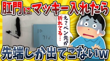 【イッチは圧倒的】【2ch面白いスレ】太いマッキーを●門に入れたら先端が取れて出てこなくなったwwwww【ゆっくり解説】【総集編】