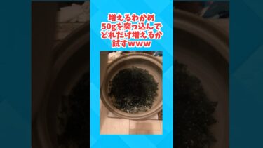 【2chホウソウキョク】【実況】増えるわかめ50gを突っ込んでどれだけ増えるか試す #2ch #2ちゃんまとめ #ゆっくり解説 #2ちゃんまとめ #ゆっくり解説 #スレ民 #スレ民 #2ちゃんねる #面白集